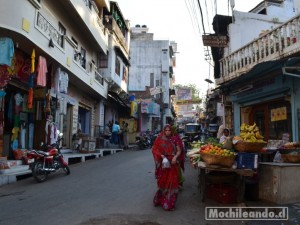 Calles de Udaipur.