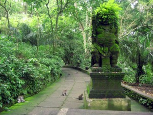 camino por bosque repleto de macacos en Ubud.