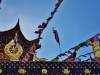 kanding-monasterio-tibetano-1